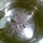 Zalewa do czosnku marynowanego