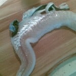 Filet z dorsza ze skórą