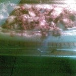 Zapiekanie dorsza w śmietanie