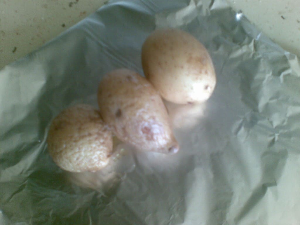 Ziemniaki