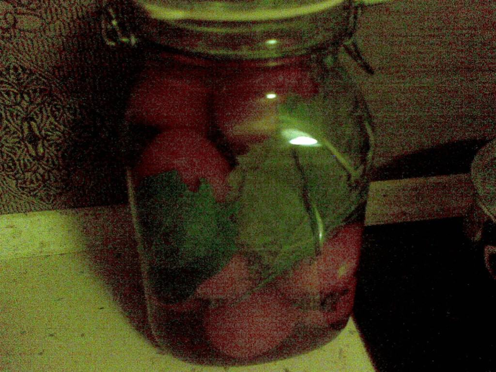Kiszone pomidory